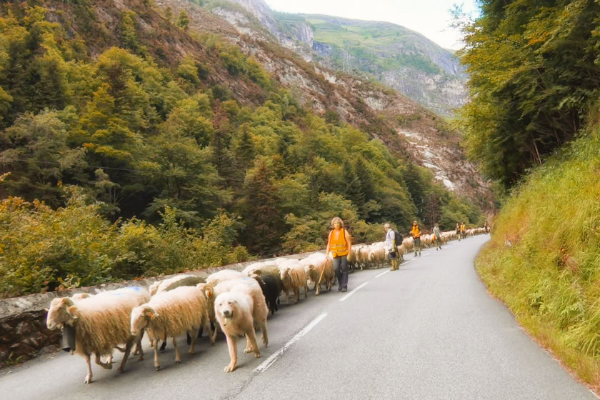 RoadCaptain.one auf Tour in den Pyrenäen